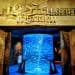 The Lost Chambers Aquarium